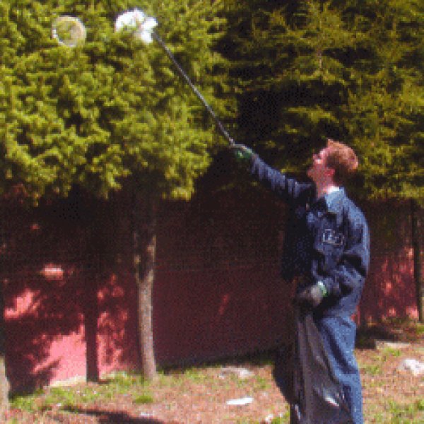 画像3: ウンガー　ニフティナバープロ (3)